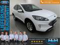 Ford Kuga 1.5 EcoB Titanium BLIS+iACC+AHK Weiß - thumbnail 1