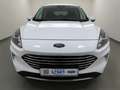 Ford Kuga 1.5 EcoB Titanium BLIS+iACC+AHK Weiß - thumbnail 6