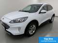 Ford Kuga 1.5 EcoB Titanium BLIS+iACC+AHK Weiß - thumbnail 2