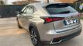 Lexus NX 300 NX I 2018 300h 2.5 Executive 4wd cvt Grau - thumbnail 7