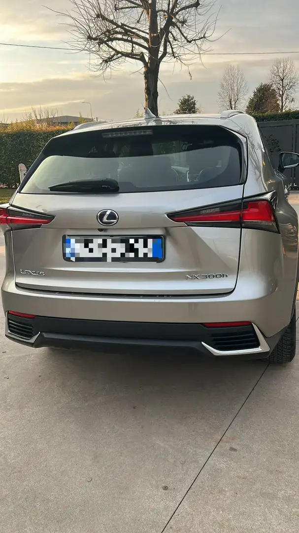 Lexus NX 300 NX I 2018 300h 2.5 Executive 4wd cvt Grau - 2