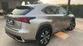 Lexus NX 300 NX I 2018 300h 2.5 Executive 4wd cvt Grau - thumbnail 6