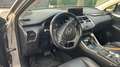 Lexus NX 300 NX I 2018 300h 2.5 Executive 4wd cvt Grau - thumbnail 4