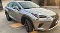 Lexus NX 300 NX I 2018 300h 2.5 Executive 4wd cvt Grau - thumbnail 3