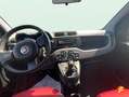 Fiat Panda 1.2 Easy Negro - thumbnail 11