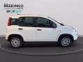 Fiat Panda 1.0  hybrid s&s 70cv km0 PRONTA CONSEGNA Noir - thumbnail 14