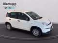 Fiat Panda 1.0  hybrid s&s 70cv km0 PRONTA CONSEGNA Noir - thumbnail 9