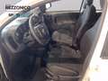 Fiat Panda 1.0  hybrid s&s 70cv km0 PRONTA CONSEGNA Noir - thumbnail 8