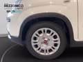 Fiat Panda 1.0  hybrid s&s 70cv km0 PRONTA CONSEGNA Noir - thumbnail 12