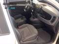 Fiat Panda 1.0  hybrid s&s 70cv km0 PRONTA CONSEGNA Noir - thumbnail 6