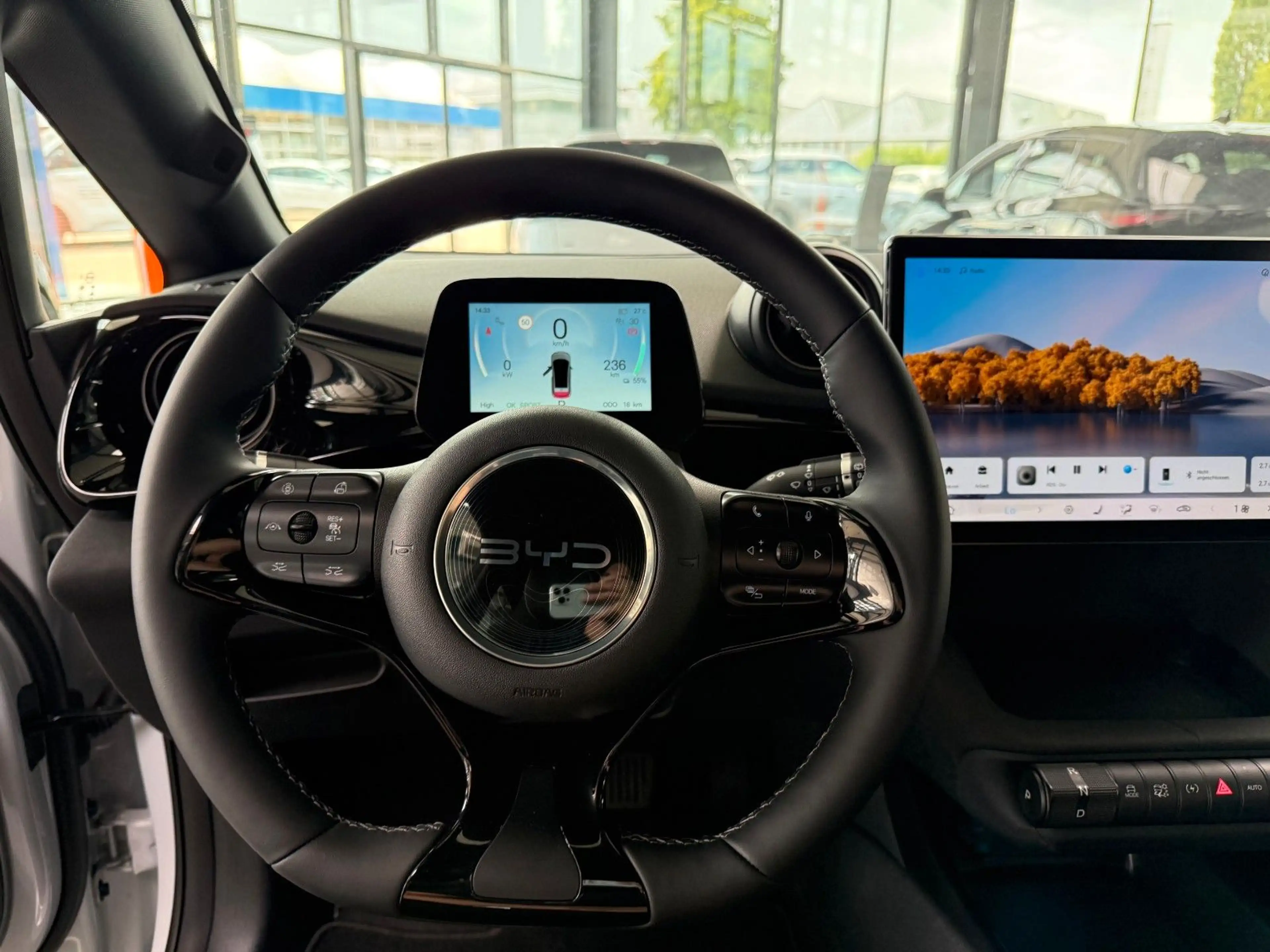 BYD Dolphin Comfort AUF LAGER !! — photo 15