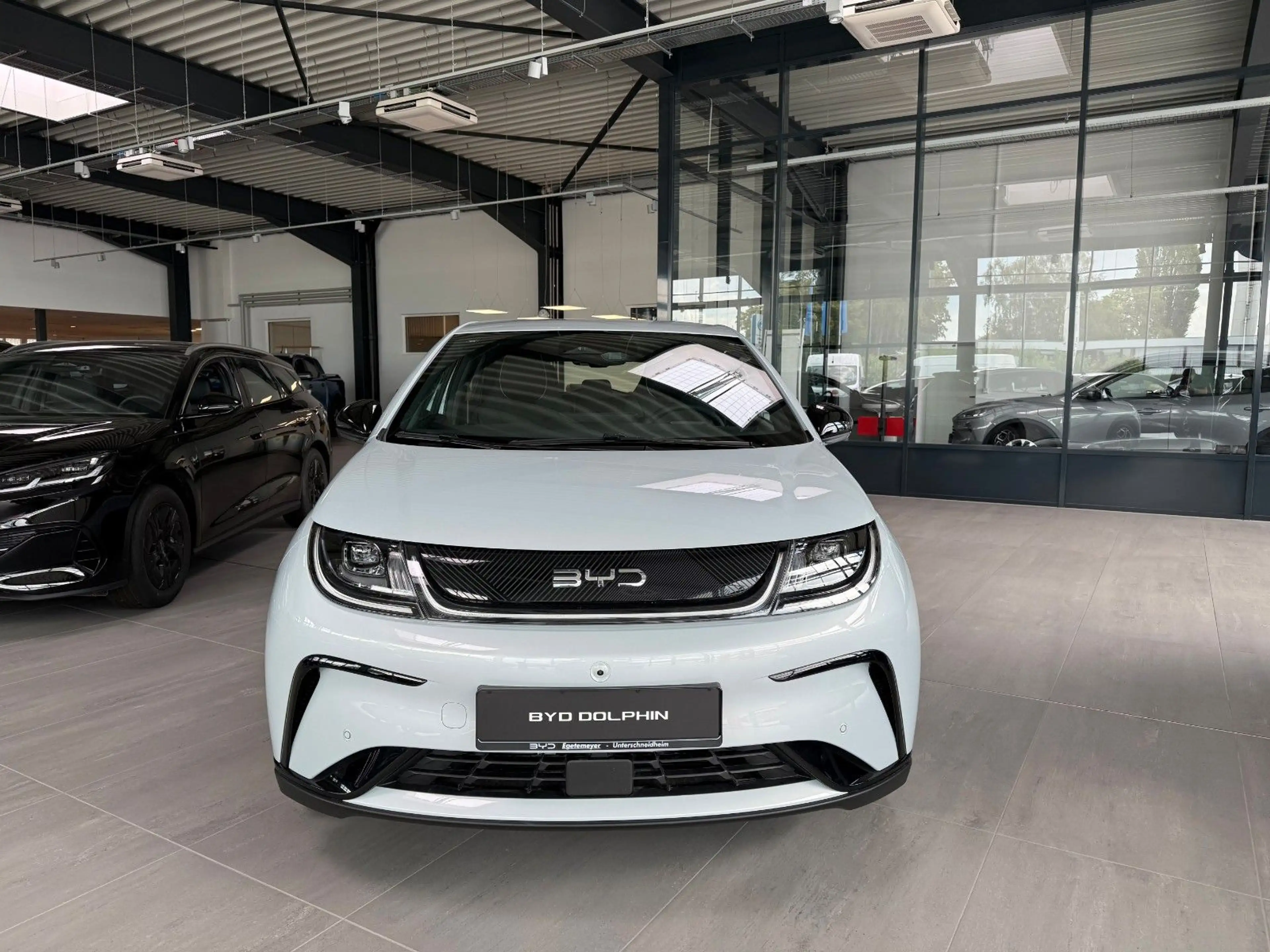 BYD Dolphin Comfort AUF LAGER !! — photo 2