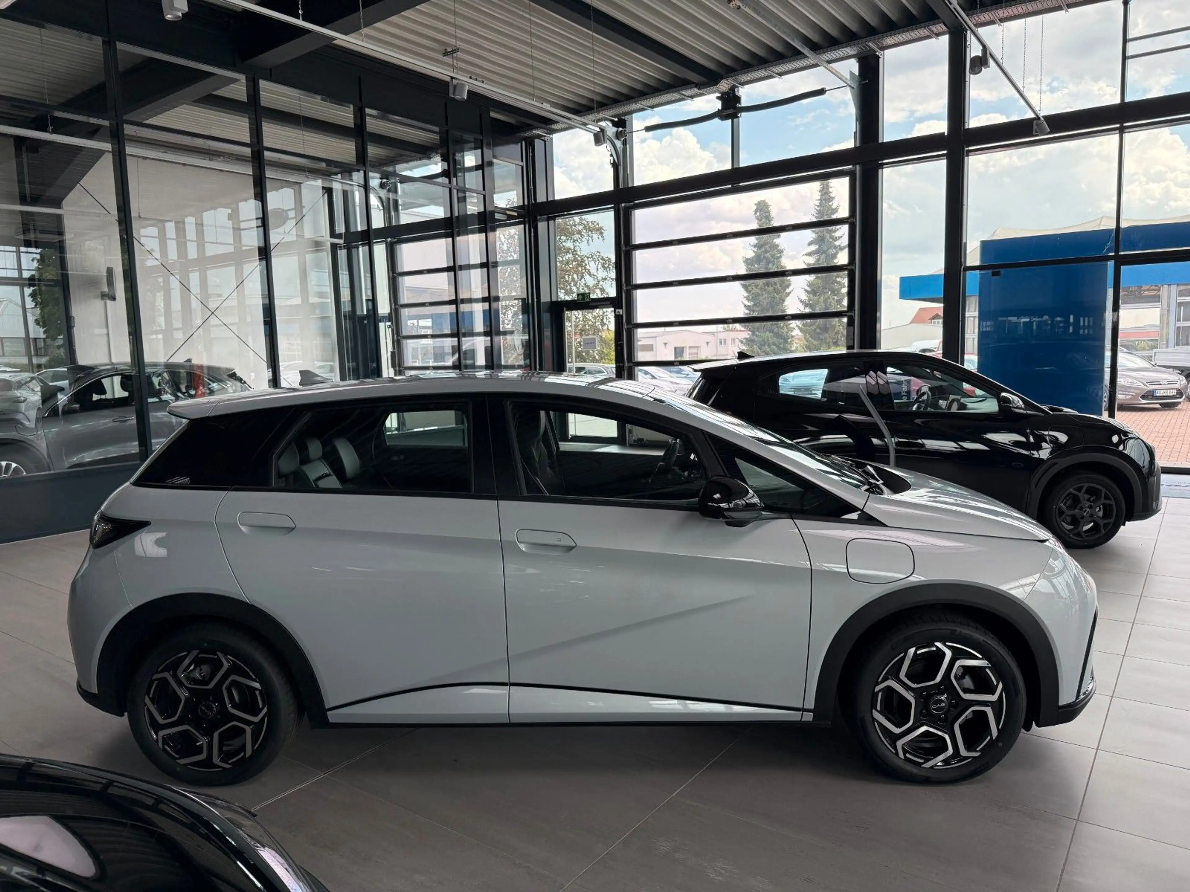 BYD Dolphin Comfort AUF LAGER !! — photo 6