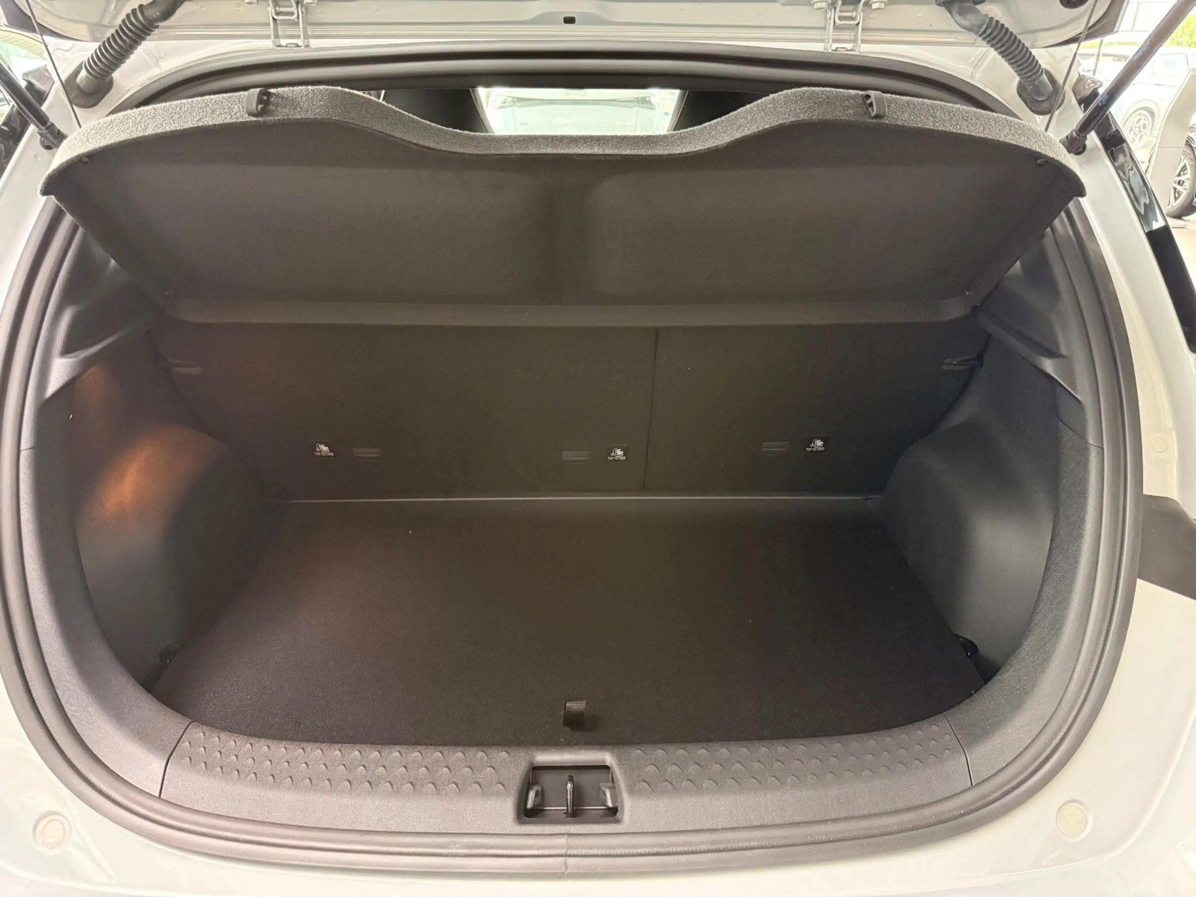 BYD Dolphin Comfort AUF LAGER !! — photo 13