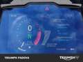 Triumph Tiger 1200 Rally Explorer Bianco - thumbnail 13