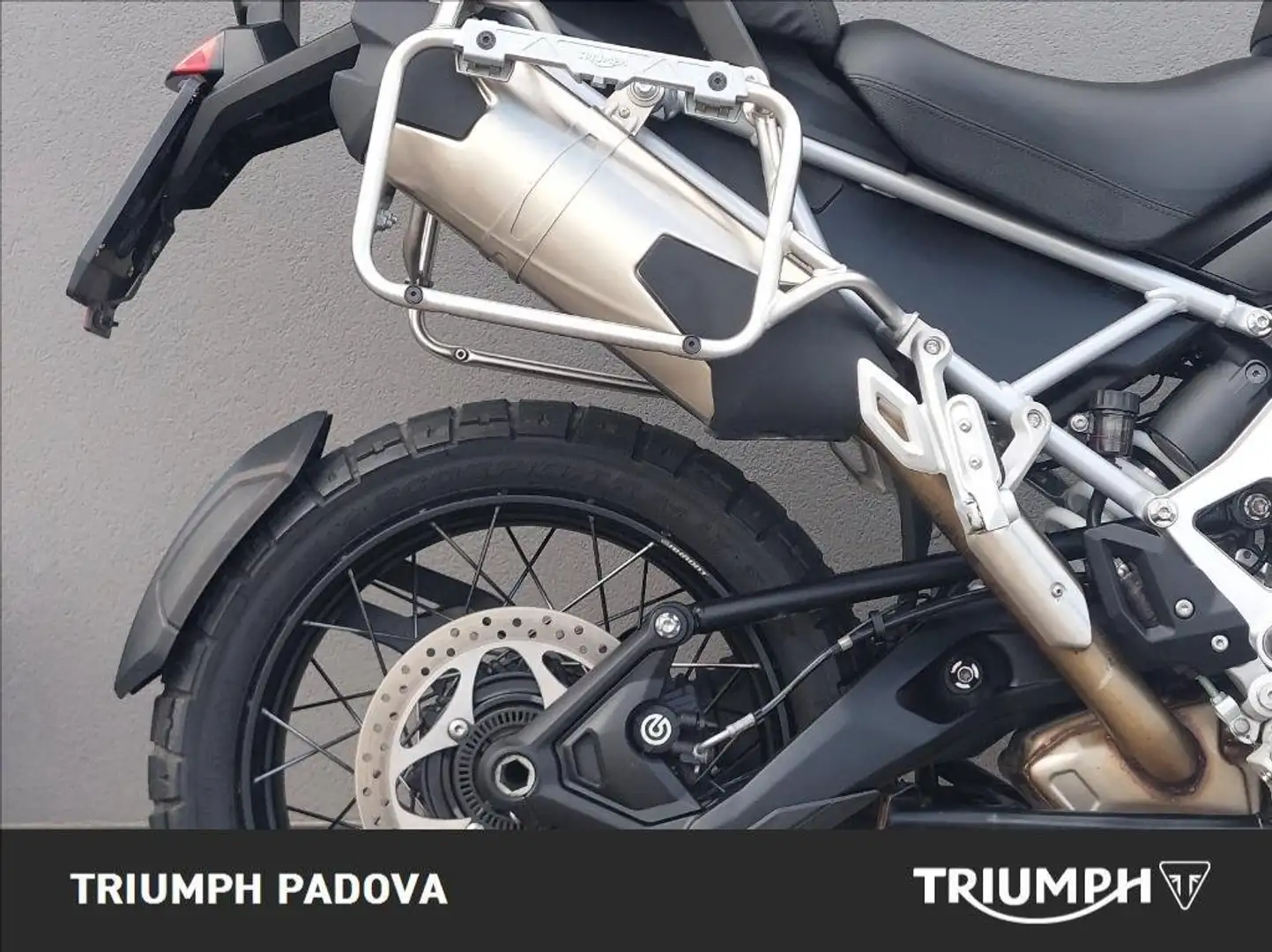 Triumph Tiger 1200 Rally Explorer Bianco - 2