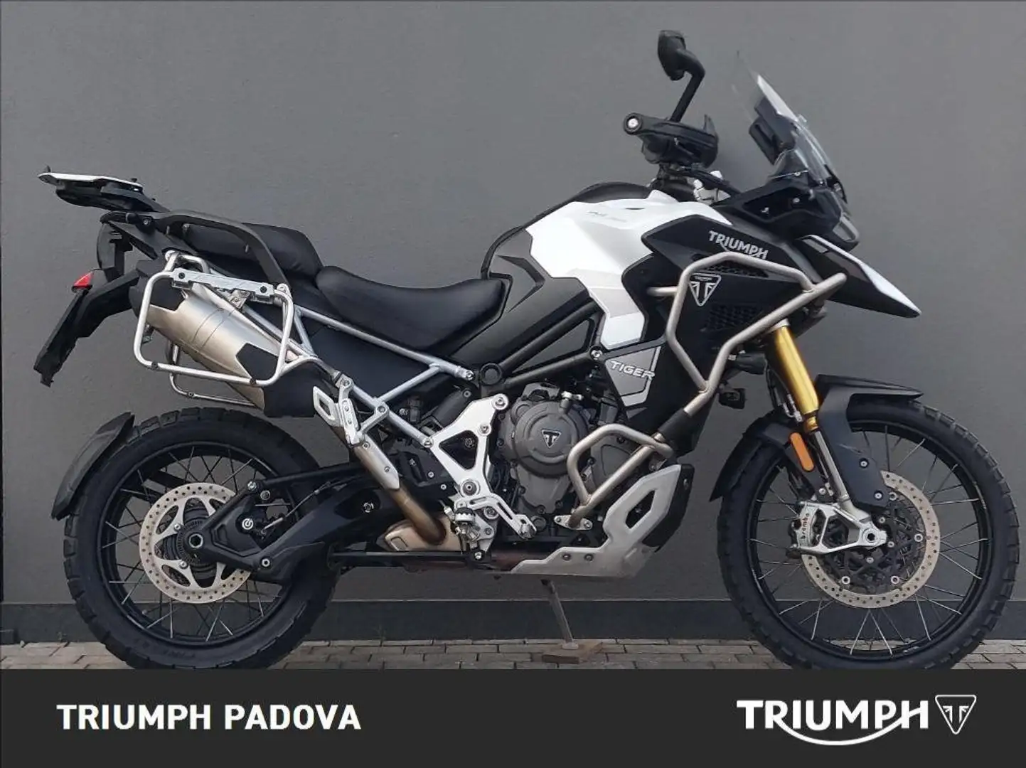 Triumph Tiger 1200 Rally Explorer Bianco - 1