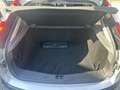 Ford Focus + 1.6 115cv Ti-VCT 5p. Argento - thumbnail 11