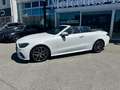 Mercedes-Benz E 350 Cabriolet AMG Distronic Sitzkühlung White - thumbnail 8