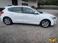 Ford Focus Focus 1.5 ecoblue Business s Bianco - thumbnail 4