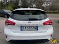 Ford Focus Focus 1.5 ecoblue Business s Bianco - thumbnail 14