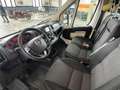 Fiat Ducato 35 2.0 MJT PM-TM Furgone Blanc - thumbnail 11