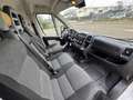 Fiat Ducato 35 2.0 MJT PM-TM Furgone Blanc - thumbnail 5