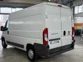 Fiat Ducato 35 2.0 MJT PM-TM Furgone Blanc - thumbnail 15