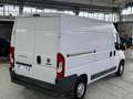 Fiat Ducato 35 2.0 MJT PM-TM Furgone Blanc - thumbnail 12