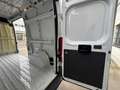 Fiat Ducato 35 2.0 MJT PM-TM Furgone Blanc - thumbnail 8