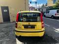 Fiat Panda 1.2 4x4 DISTRIBUZIONE NUOVA Jaune - thumbnail 5