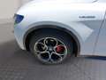 Alfa Romeo Stelvio Veloce 2.2 16V 210 AT8 Q4 Weiß - thumbnail 13