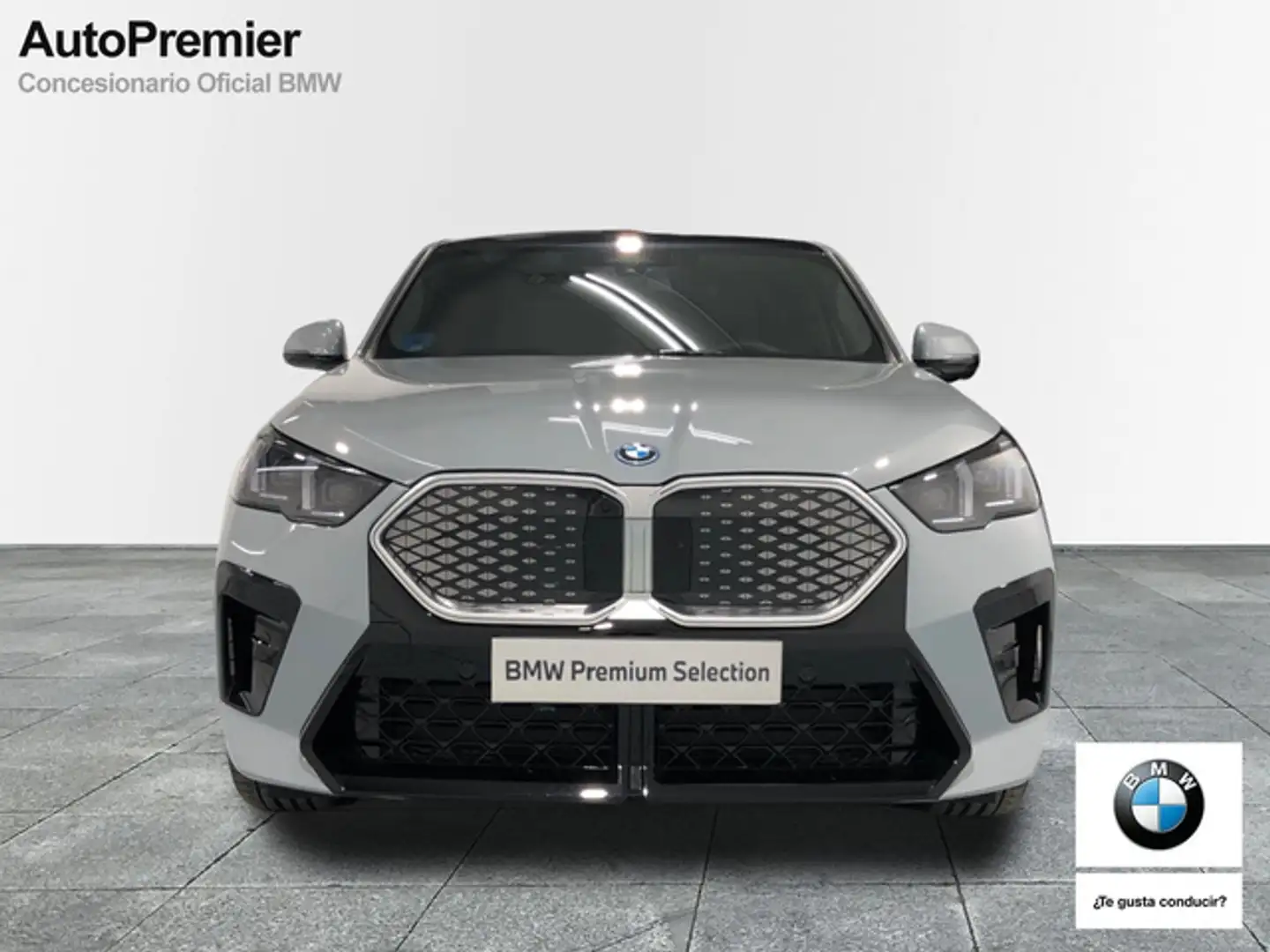BMW iX2 xDrive30A Gris - 2