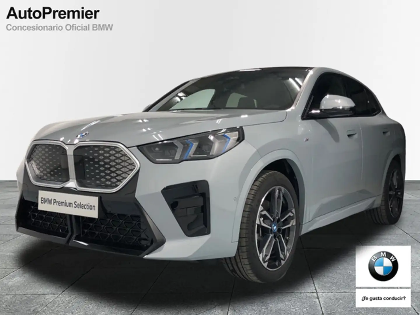 BMW iX2 xDrive30A Gris - 1