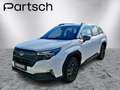 Subaru Forester 2.0i CVT Adventure Leder Weiß - thumbnail 1