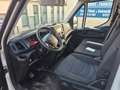 Iveco Daily Fahrgestell Einzelkabine 35 S ... Radstand Blanc - thumbnail 4