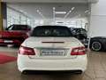 Mercedes-Benz E 500 AMG-LiNE*KEY GO*KAMERA*COMAND*ToTW*H&K* Weiß - thumbnail 6