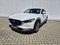 Mazda CX-30 G122 COMFORT+ Weiß - thumbnail 2