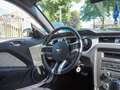 Ford Mustang USA 3.7 V6 Bianco - thumbnail 13