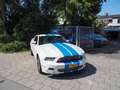 Ford Mustang USA 3.7 V6 Bianco - thumbnail 3