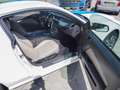 Ford Mustang USA 3.7 V6 Bianco - thumbnail 12