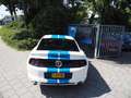 Ford Mustang USA 3.7 V6 Bianco - thumbnail 5