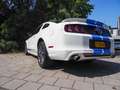Ford Mustang USA 3.7 V6 Bianco - thumbnail 6