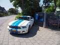 Ford Mustang USA 3.7 V6 Bianco - thumbnail 2