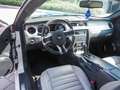 Ford Mustang USA 3.7 V6 Bianco - thumbnail 9