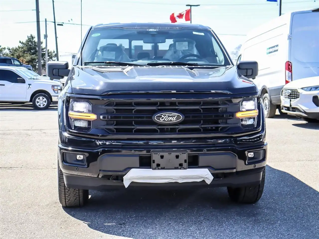 Ford F 150 снимка Ford F 150