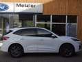 Ford Kuga ST-Line Weiß - thumbnail 26