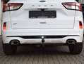 Ford Kuga ST-Line Weiß - thumbnail 23