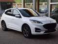 Ford Kuga ST-Line Weiß - thumbnail 27