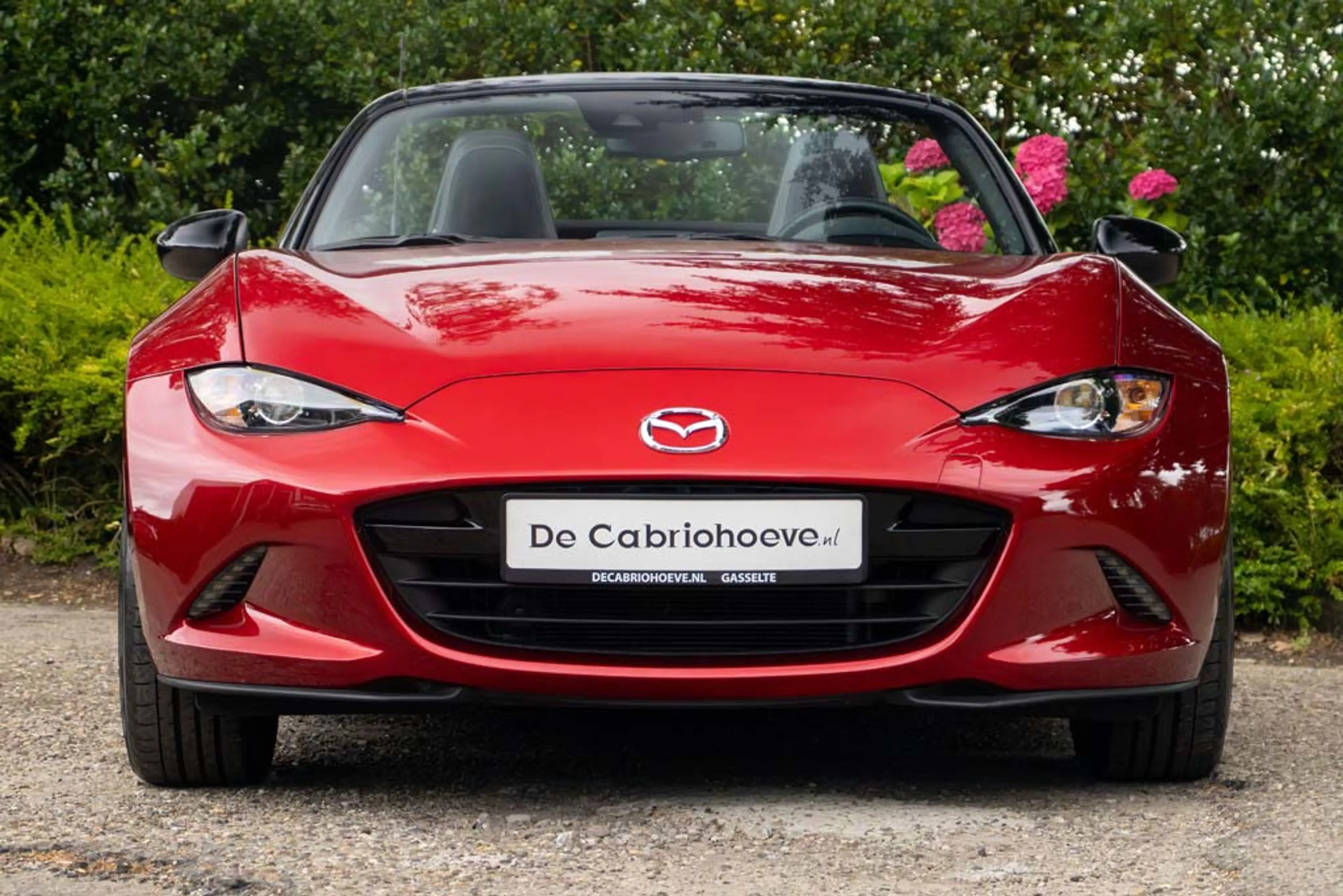 Mazda MX-5 ND 1,5l SkyActiv-G 132 GT-M Soul Red Crystal Metal — photo 10